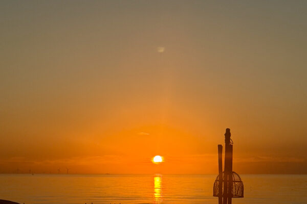 Featured Photo